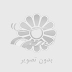 از كجا پاركت بخريم؟